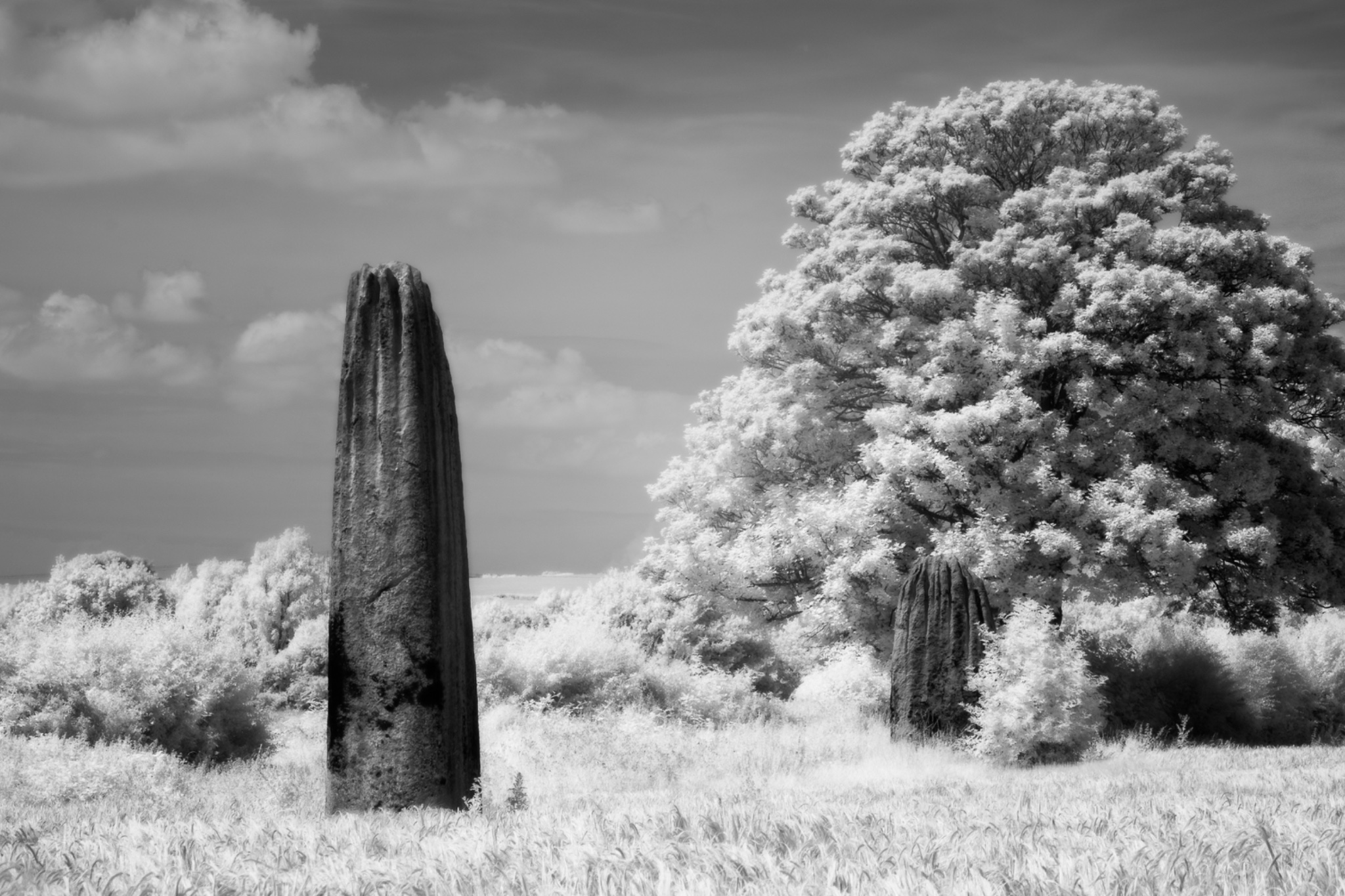 Devils Arrows, North Yorkshire, England.